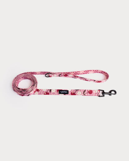 Smycz miejska "Pink Club"