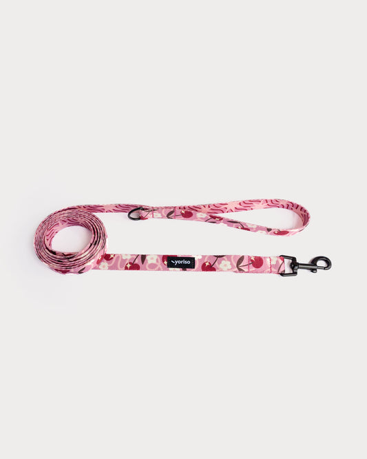 Smycz miejska "Pink Club"
