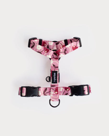 Szelki Guard "Pink Club: Cherry on Top"