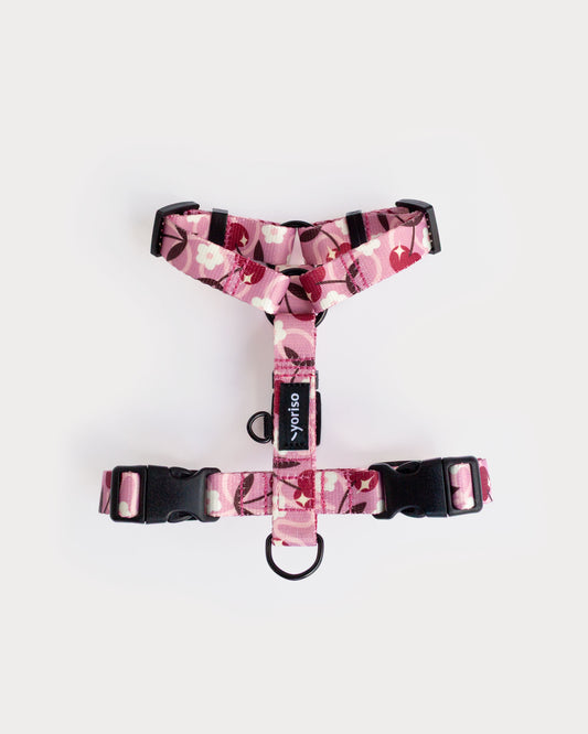 Szelki Guard "Pink Club: Cherry on Top"