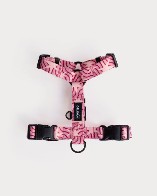 Szelki Guard "Pink Club: Catch a Star"